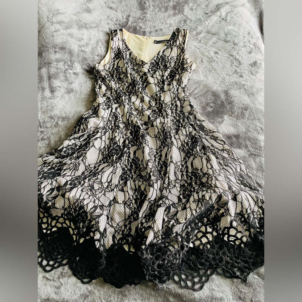 Very flattering lace dress size 4 - Picture 3 of 7